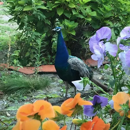 La Ferme Wessiere منزل ريفي Oye-Plage
