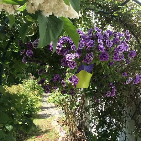 منزل ريفي La Ferme Wessiere *